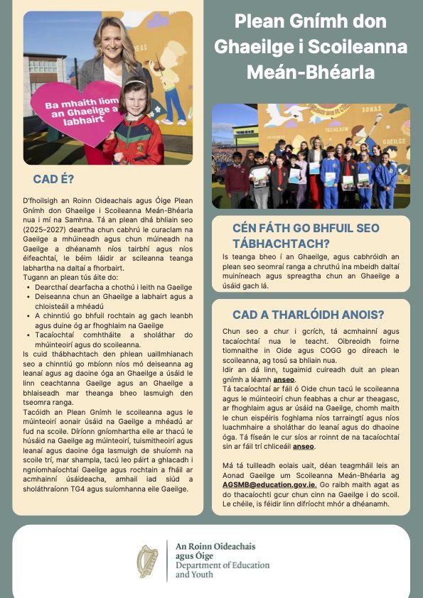 action-plan-for-irish-in-english-medium-schools-1.jpg