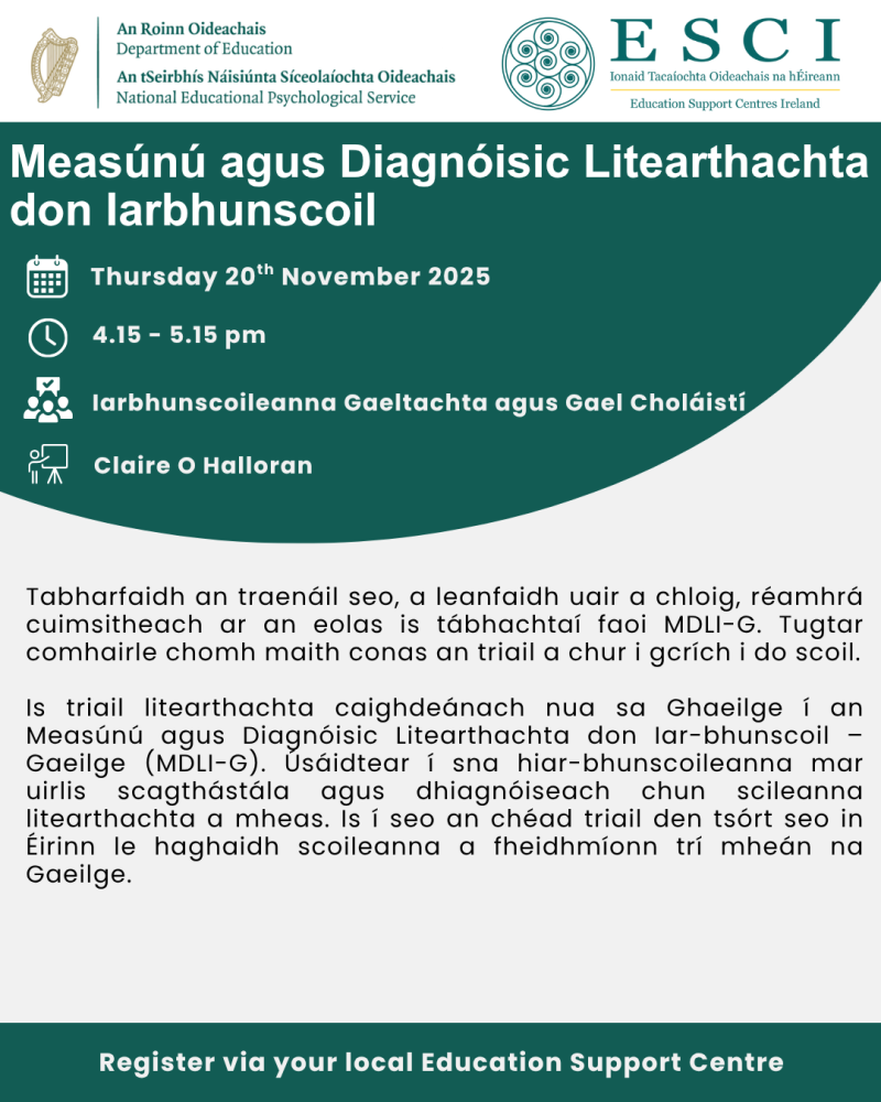 measunu agus diagnoisic litearthachta don iarbhunscoil