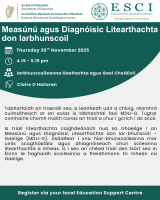 NEPS: Measúnú agus Diagnóisic Litearthachta don Iarbhunscoil