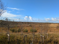 Sustainable Energy in Action! A hands-on and practical event at Mount Lucas Wind Farm & Nearly Zero Energy Building Centre, Co Offaly 