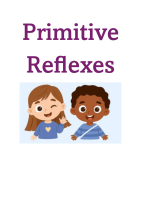 SU26-04 - Primitive Reflexes For Teachers: Understanding Screening Treating Screening And Tools